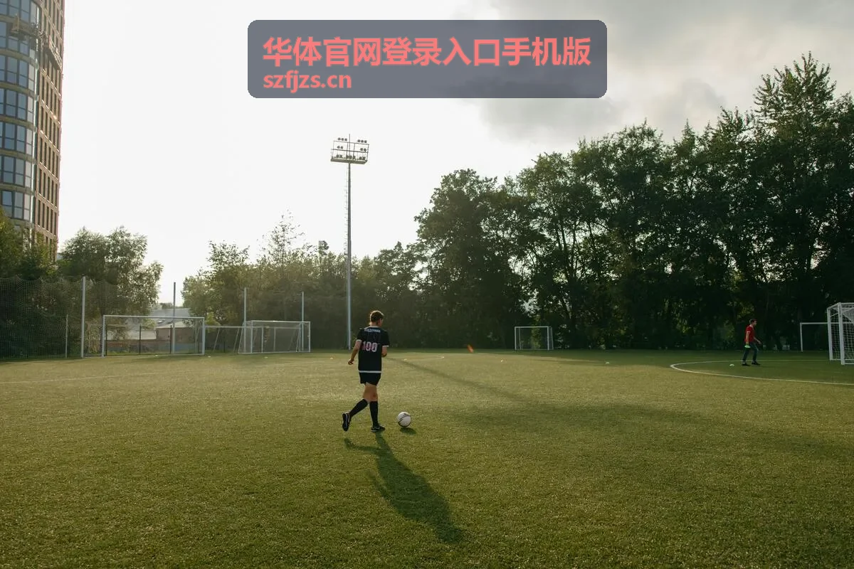 华体官网登录入口手机版在手机端打开登录页面的展示