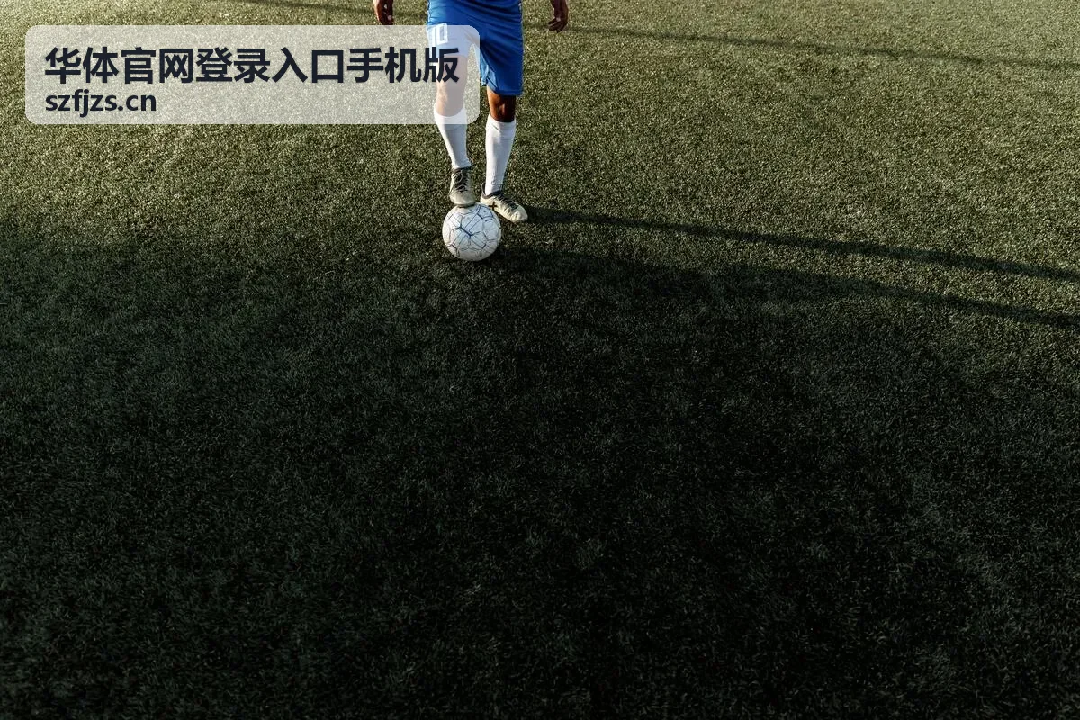 华体官网登录入口手机版账号安全自查清单示意